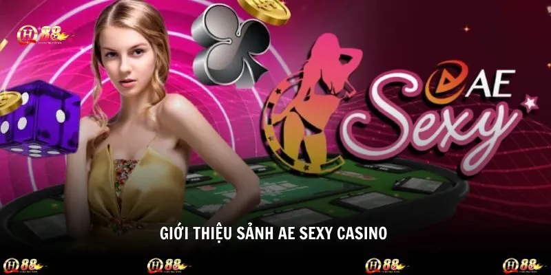 Những nét chính về sảnh AE sexy mà thành viên cần biết