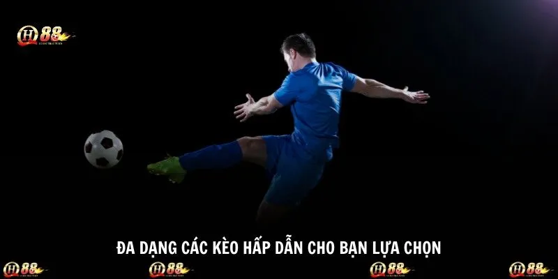 Đa dạng các kèo hấp dẫn cho bạn lựa chọn